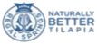 Success Story Logo
