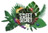 Success Story Logo