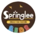 Success Story Logo