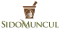 Success Story Logo
