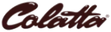Success Story Logo